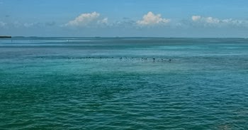 Key West_033
