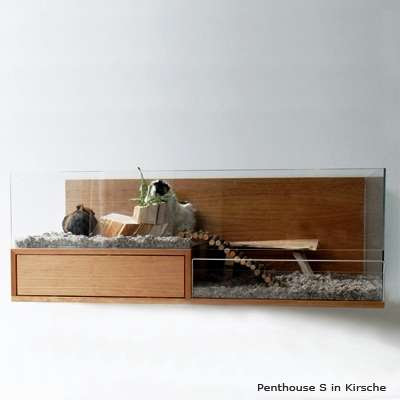 Luxurious Rodent Home Seen On www.coolpicturegallery.us