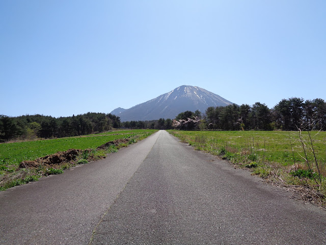 牧草地の道からの大山の眺望