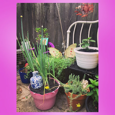 using outdoor plastic children's chairs and old milk crates to build vertical space in an upcycled furniture patio container garden