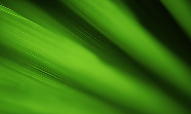 Green Beauty Pictures