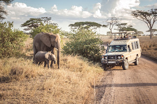 National Park Tour Packages Tanzania