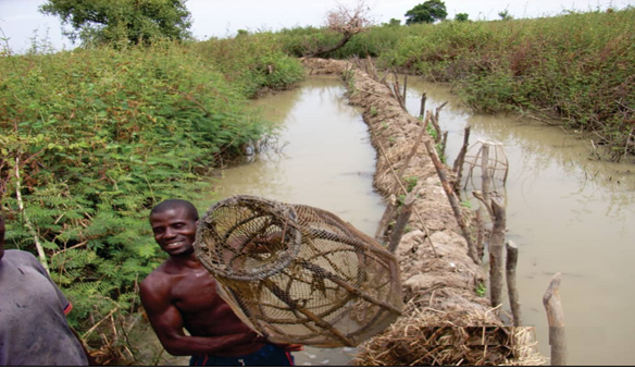 Survey of Hausa Traditional Fish Fence Usage in Zamfara, North-West Nigeria