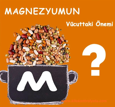 Magnezyum ve Herbalife