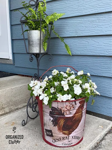 Photo of a rooster decor transfer on a red bucket used as an impatiens planter