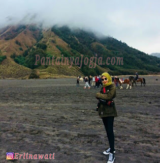 jalur menuju gunung bromo