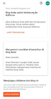 8 hari google adsense blog diterima view sedikit