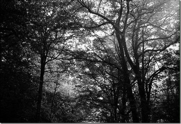 clip_image009