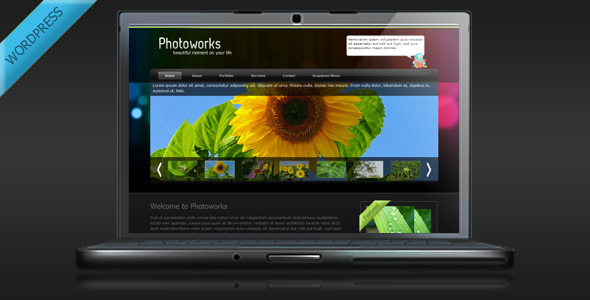 Photography and Portfolio Wordpress Theme - ThemeForest Item for Sale