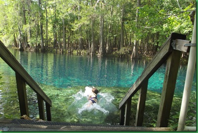 Manatee Springs 114