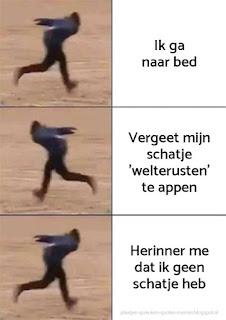 memes in het nederlands