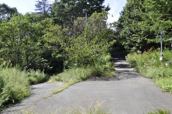 DSC 0231