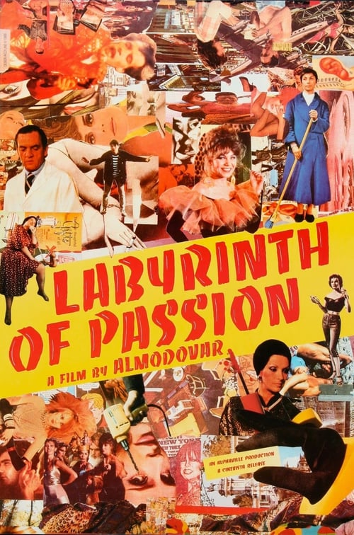 [HD] Le Labyrinthe des passions 1982 Film Complet En Anglais