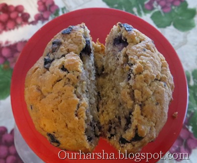 blueberry muffins (18)