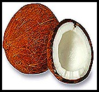 0617-01coconut