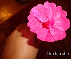 Pink FLowers (3)