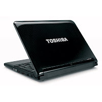 Toshiba Mini NB305-N310G