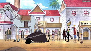 ワンピース アニメ 146話 黒ひげ海賊団 ドクQ | ONE PIECE Episode 146