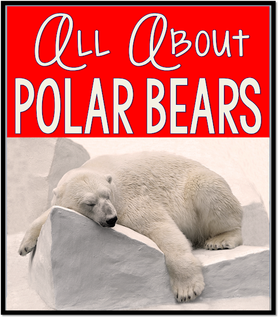 Polar bear kindergarten activities