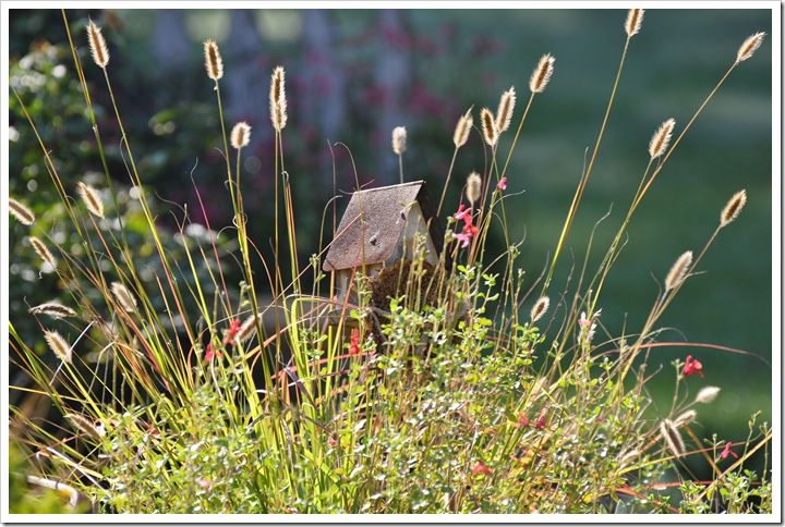 Serenity-Natalee 029