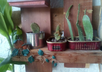 plantas-materos-colgantes-caseros-para-decorar-el-jardin