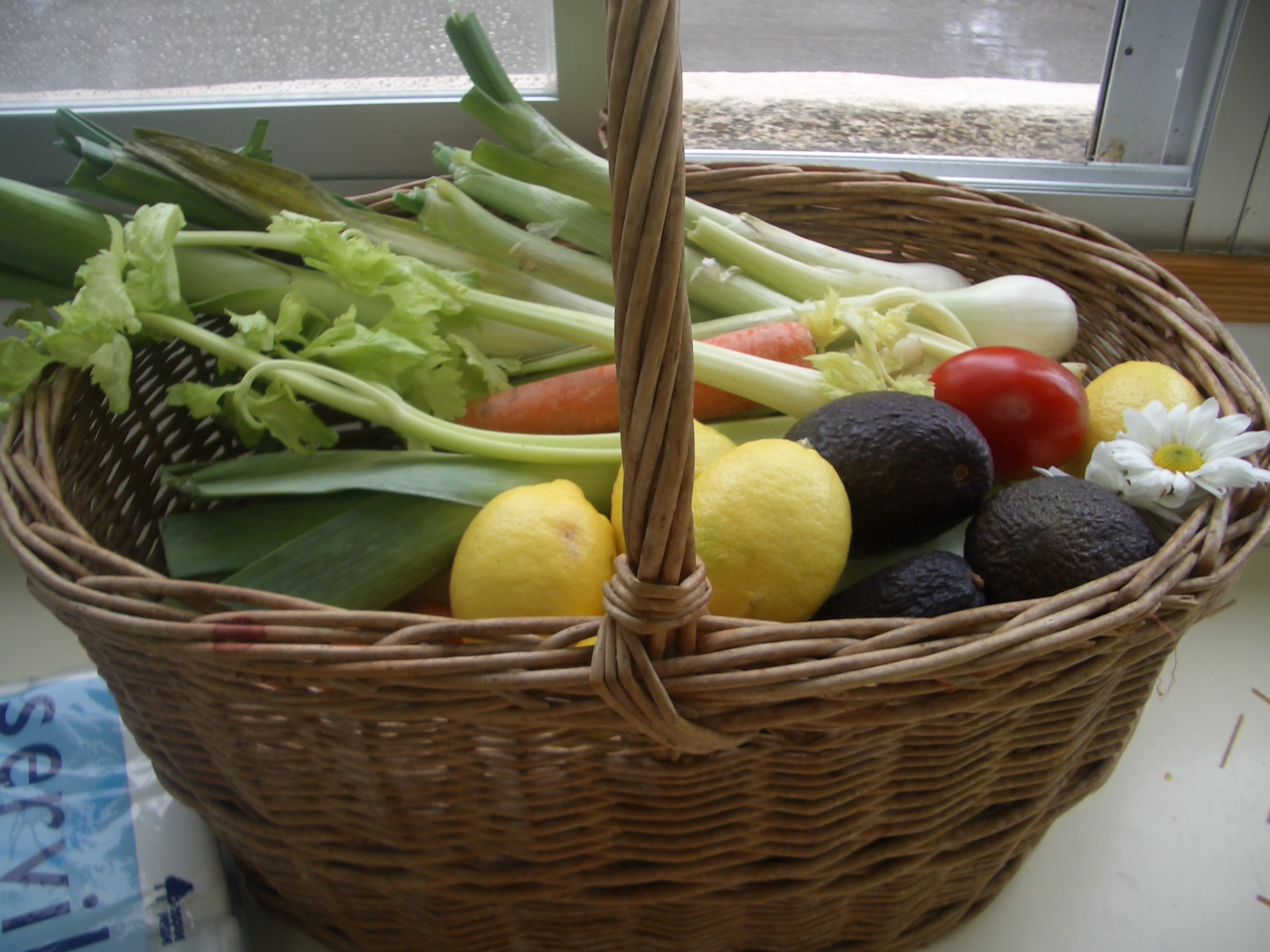 Cesta de verduras ecológicas