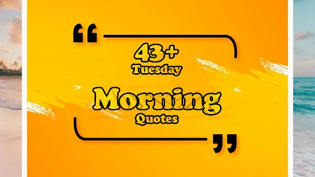 Tuesday morning quotes