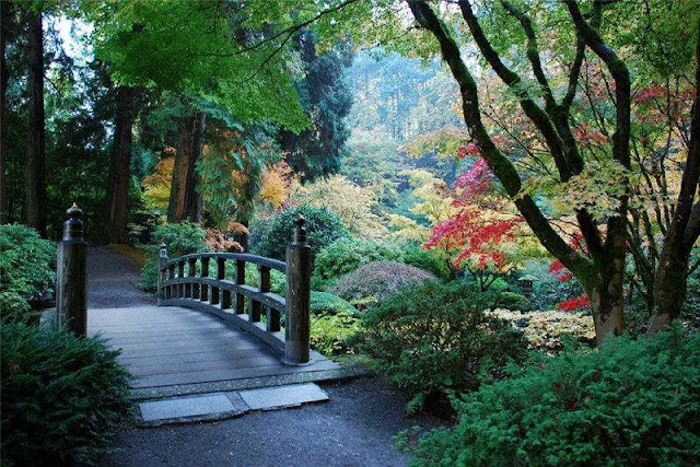 Scenes Of Japanese Park Tranquility  Amazing & Funny