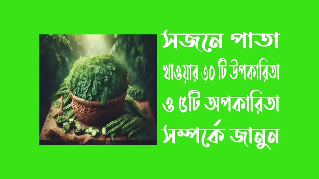 সজনে-পাতা-খাওয়ার-৩০-টি-উপকারিতা-ও-৫টি-অপকারিতা-সম্পর্কে-জানুন