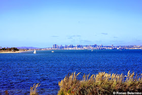 Coronado Bridge and Downtown San Diego View from Loews Coronado Bay