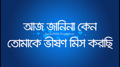 Bangla Sad Quotes