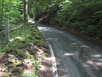 Stones Wood, Shepley, Yorkshire