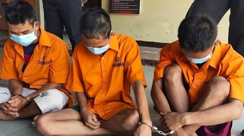 Ditinggal Teman di Kebun Sawit Bengkulu, Siswi SMP Diperkosa 4 Pria Asing