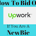 Tips About How to Bid on Upwork