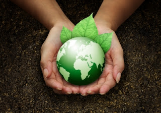organic farming for green earth