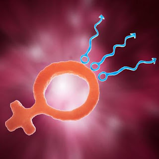 Learn About the 7 Hidden Pathologies That Can Contribute to Infertility