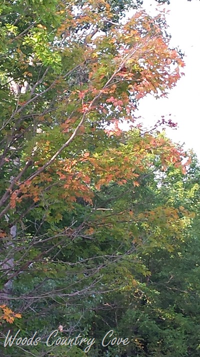 20150828_091320