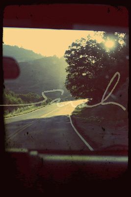 A picture of a canyon through a windshield of a tree that partially obscures the light an your ability to see what is down the road