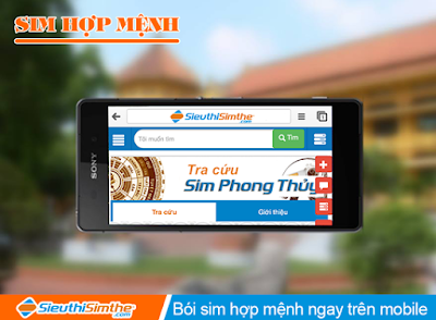 Sim hợp mệnh Mộc