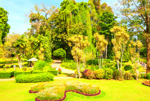 Top 10 Tourist Places in Chandigarh