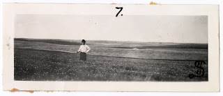 Lot 045 v1p15.7, View of Henry Syverud standing in a field of flax in full bloom