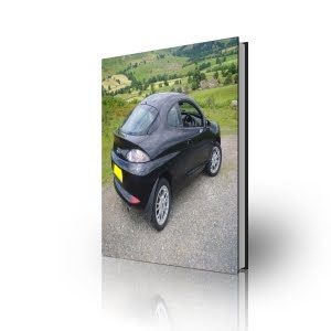 Ford Puma Manual