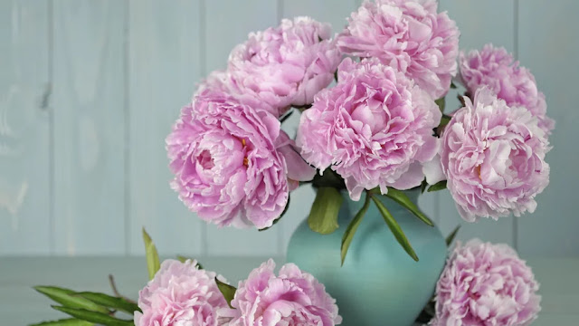 peony