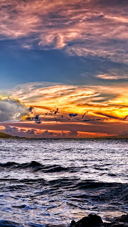 Free Download Ocean Beach Sunset HD iPhone 5 Wallpapers