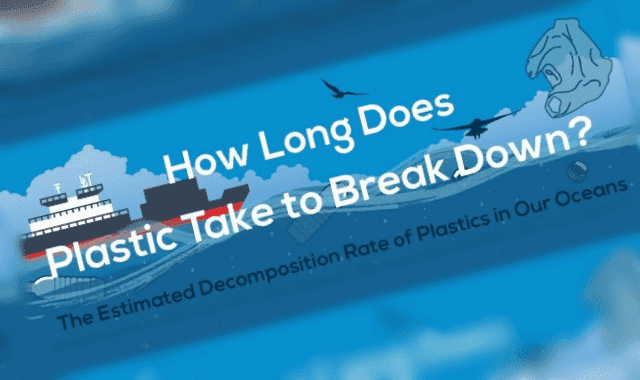  How Long Does it Take Plastics to Break Down?