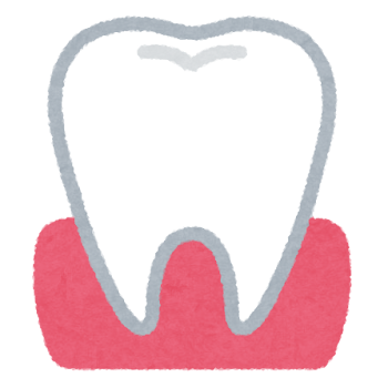 歯と歯茎のイラスト