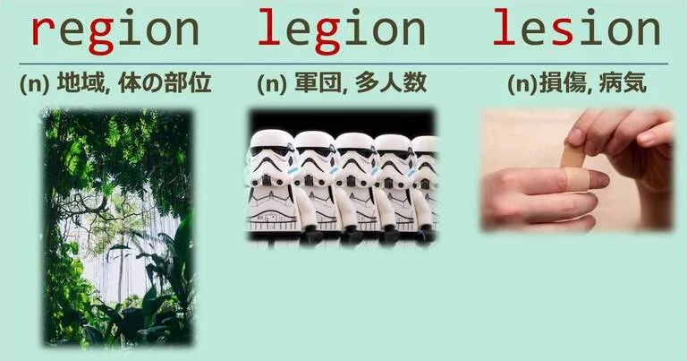 region, legion, lesion, スペルが似ている英単語