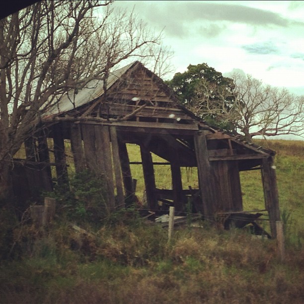 posie blogs: do you like shacks?? i took photos of stacks!!