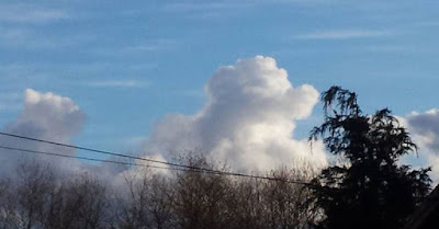 ¿Qué animal ves en esta formación de nubes?