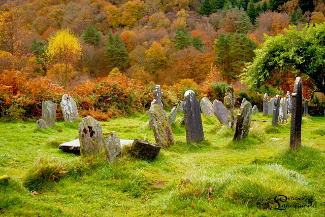 Wonderful Autumn in Glendalough and Wicklow, Ireland